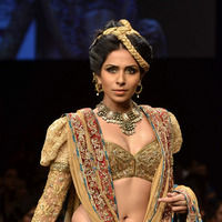Lakme Fashion Week 2011 Day 4 Pictures | Picture 62871